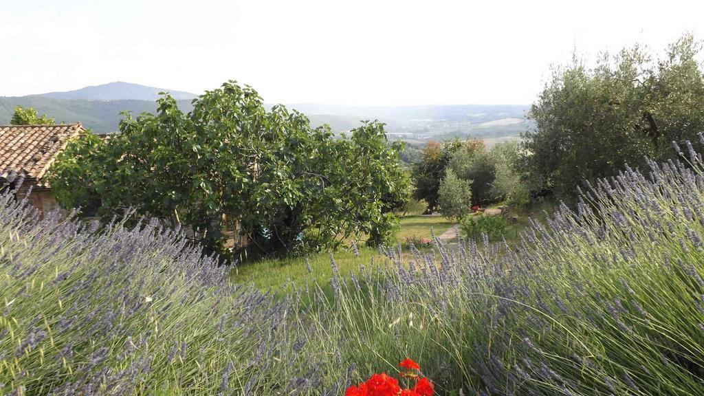 Casa Lorenzo Panicale Eksteriør bilde